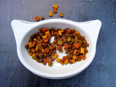 Dry food bowl white