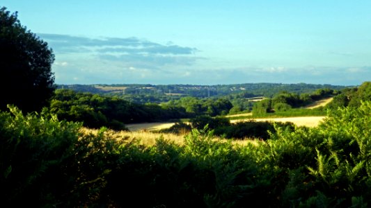 Combe Valley Countryside Park, Bexhill (2)