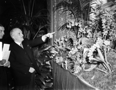 Commissaris der Koningin van Noord-Holland dr J.E. baron de Vos van Steenwijk op, Bestanddeelnr 904-2753