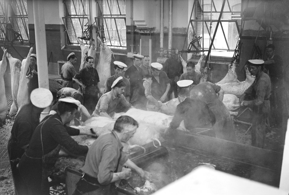 Commissie MOC Hilversum Le Grand op abattoir Utrecht, Bestanddeelnr 903-6042