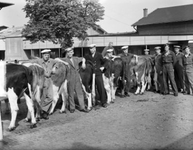 Commissie MOC Hilversum Le Grand op abattoir Utrecht, Bestanddeelnr 903-6041