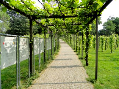 Colombipark (Freiburg) - DSC06547