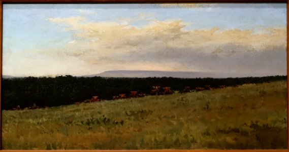 Coming Herd, After a Rain, by Frank Reaugh, c. 1895, oil on canvas - Harry Ransom Center - University of Texas at Austin - DSC08548