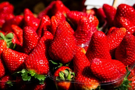 Food strawberry fresh photo