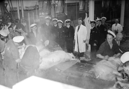 Commissie MOC Hilversum Le Grand op abattoir Utrecht, Bestanddeelnr 903-6040