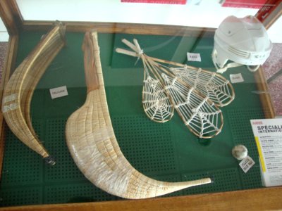 Complexe de pelote basque de Pau, vitrine 1 matériel de jeu