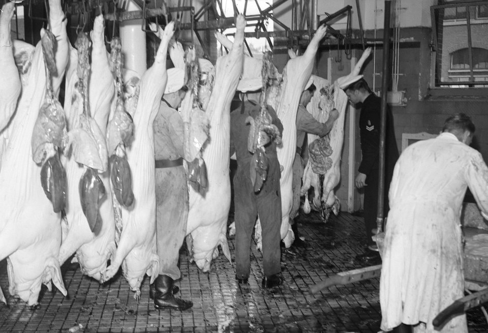 Commissie MOC Hilversum Le Grand op abattoir Utrecht, Bestanddeelnr 903-6045