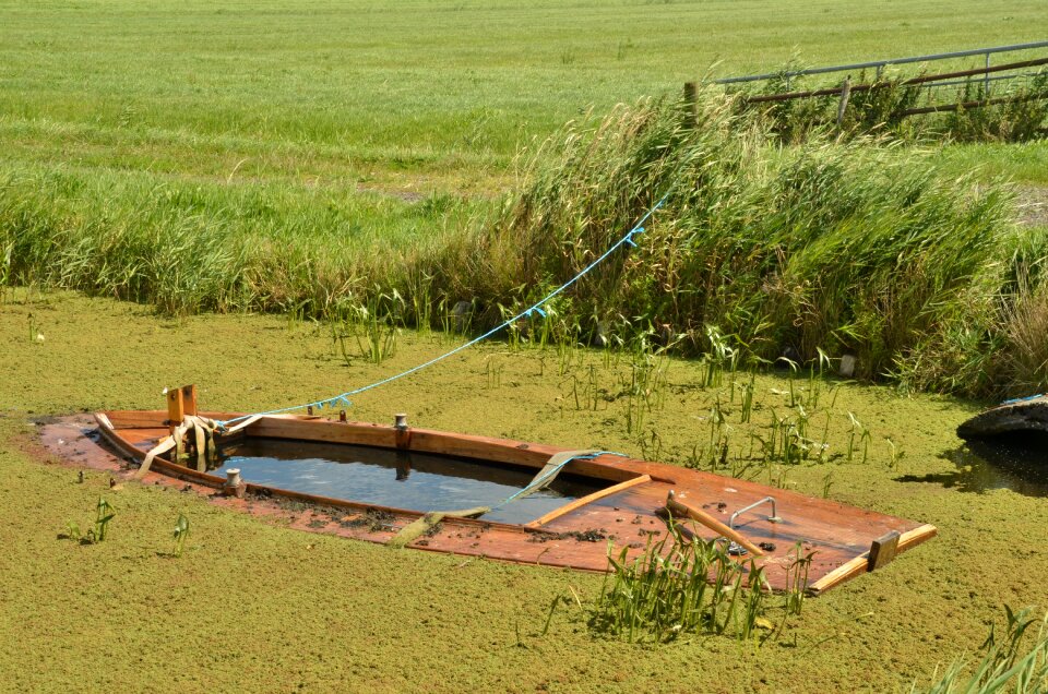 Shipwreck ship wreck leak