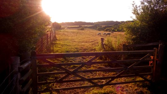 Combe Valley Countryside Park, Bexhill (3)