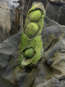 Colored Rock at Fogarty Beach