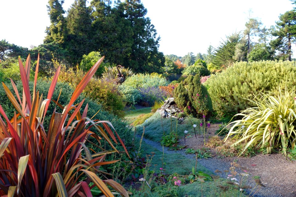 Colors - Mendocino Coast Botanical Gardens - DSC02274
