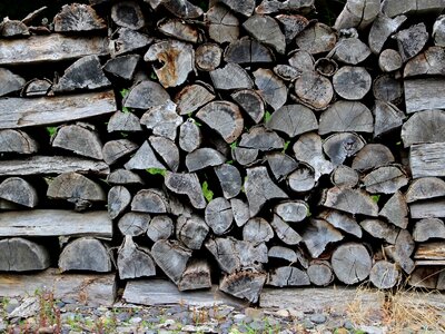 Bonfire outdoors fireplace