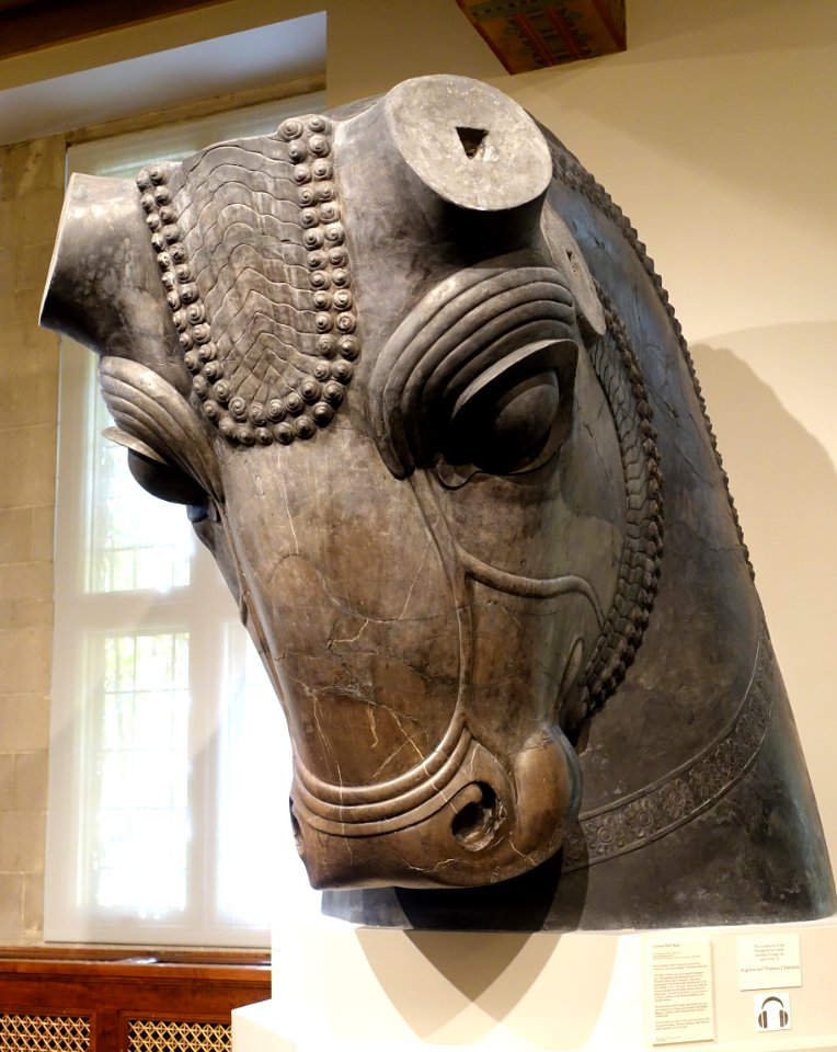 Colossal Bull Head, Iran, Persepolis, Hundred-Column Hall, Achaemenid Period, reigns of Xerxes and Artaxerxes I, 486-425 BC, restored limestone - Oriental Institute Museum, University of Chicago - DSC07935