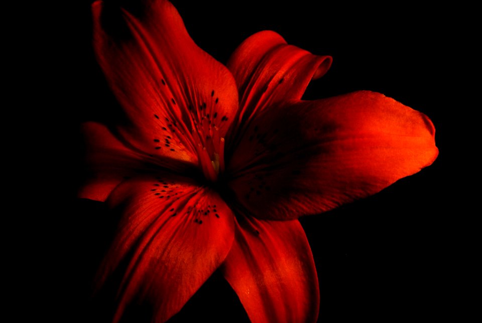Colors And Shadows (105704175)
