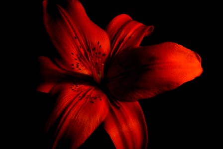 Colors And Shadows (105704175)