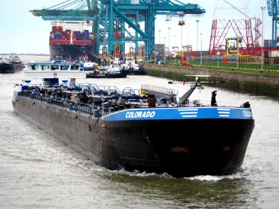 Colorado (ship, 2004), ENI 06004293, Port of Antwerp pic6
