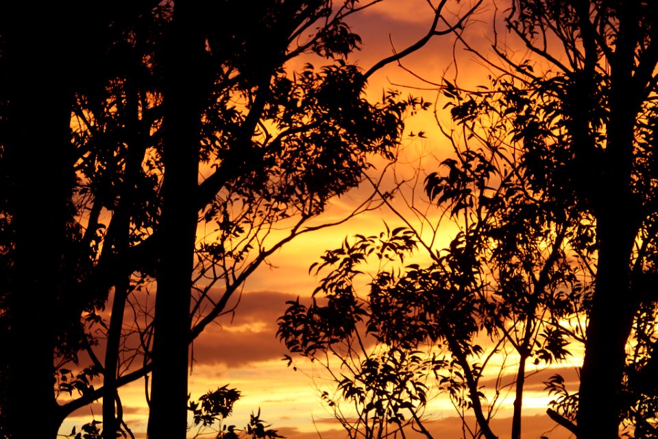 Colours Of The Night (173983415)
