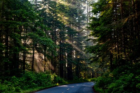 Beams landscape scenic