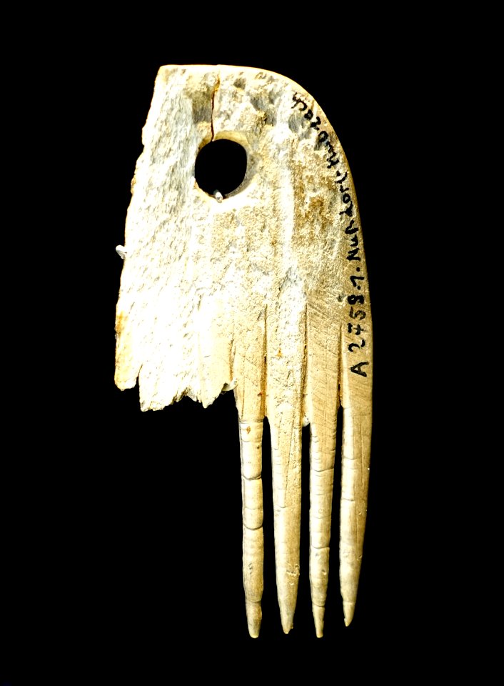 Comb fragment, Uhldingen-Muhlhofen, Maurach, Bodenseekreis, 4th millenium BC, bone - Landesmuseum Württemberg - Stuttgart, Germany - DSC02749