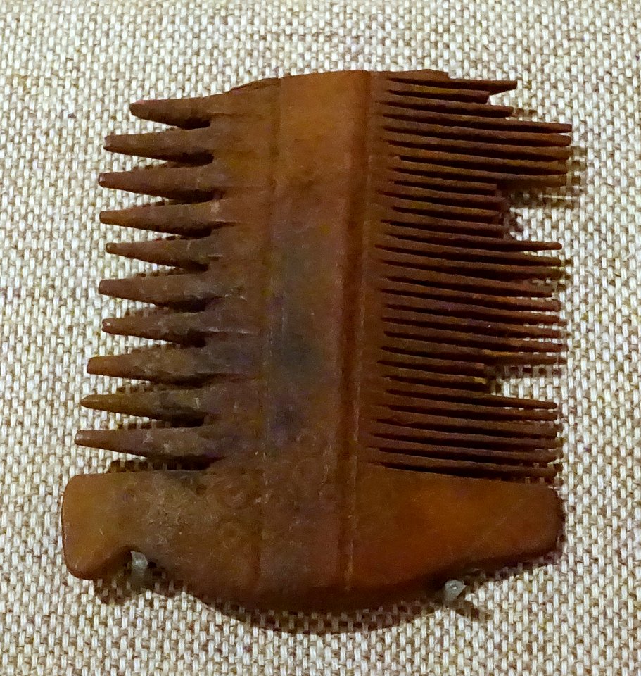 Comb, Egypt, Late Roman, Early Byzantine, or Coptic, 4th-7th century AD, wood - Spurlock Museum, UIUC - DSC05883