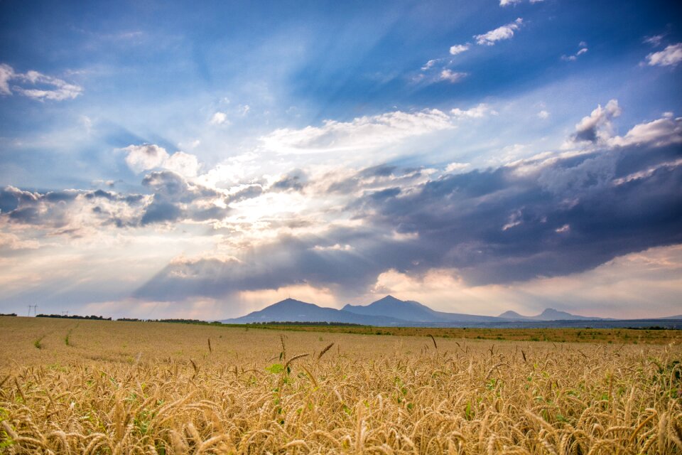 Field summer clouds