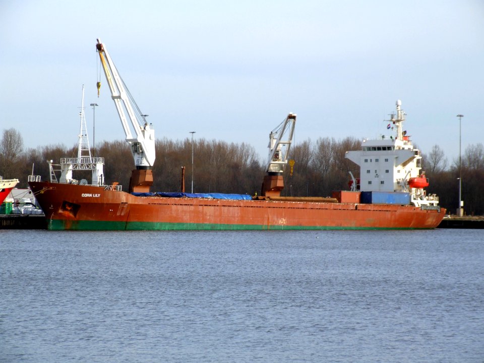 Corn Lily IMO 8714669 at IJmuiden 01feb08 p1