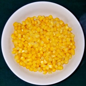 Corn kernels in bowl - Massachusetts photo