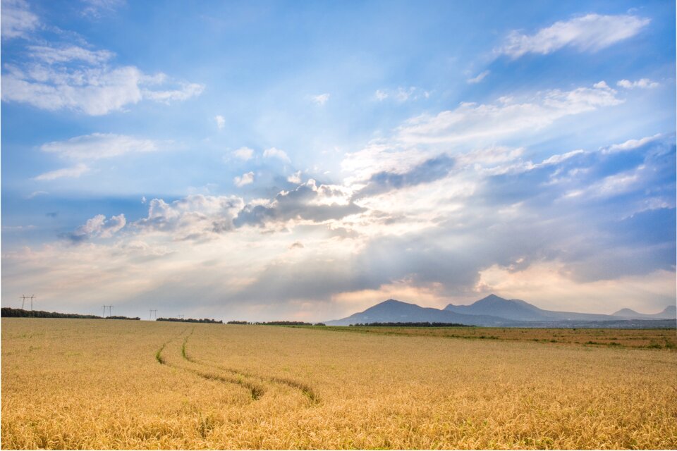 Field summer clouds