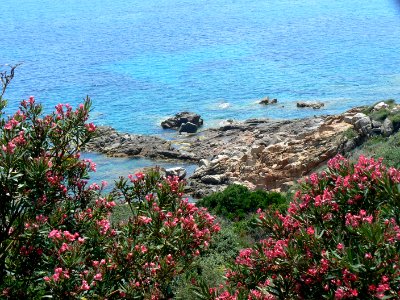 Corse SteLucie 03