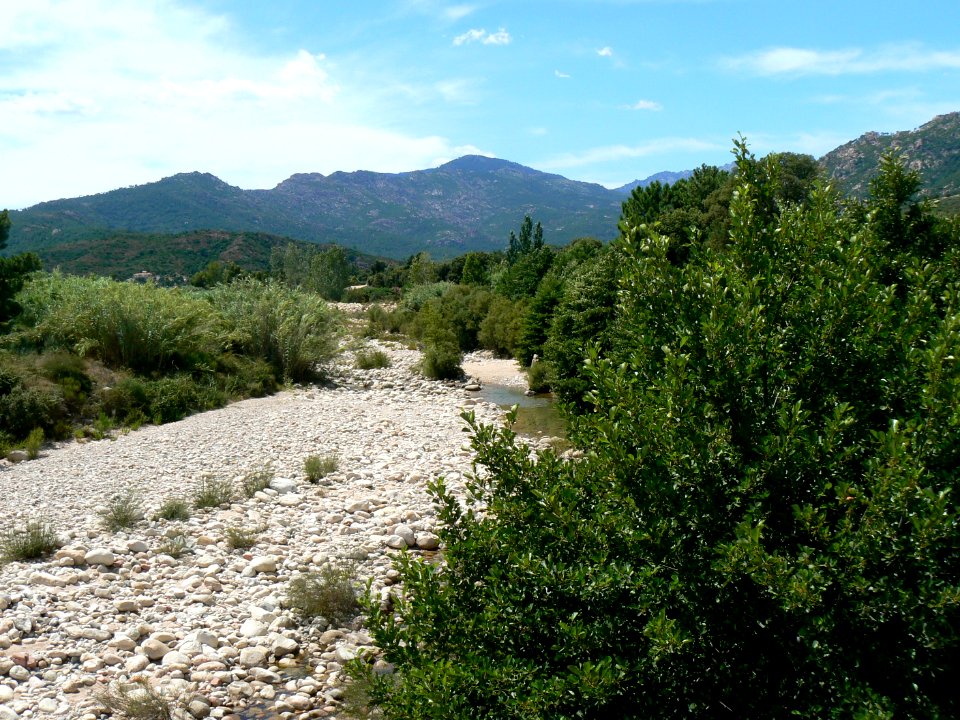 Corse SteLucie 41