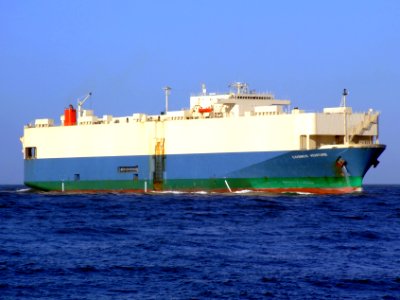 Cosmos Venture photo-6