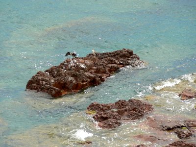Corse SteLucie 26
