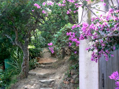 Corse SteLucie 35