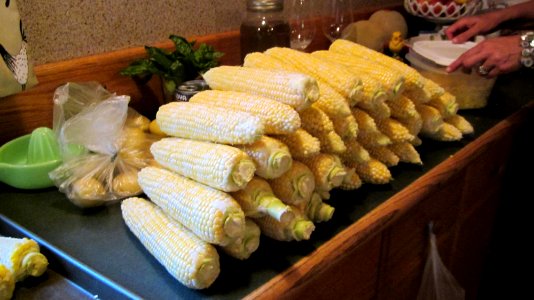 Corn on a tray photo