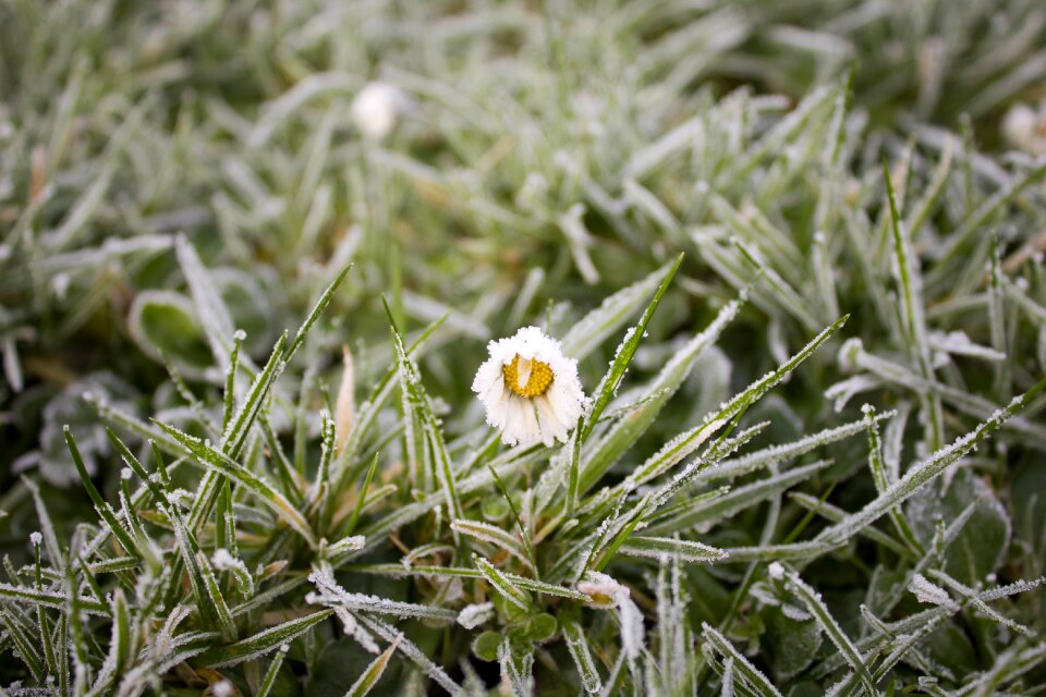 Freezing icy winter