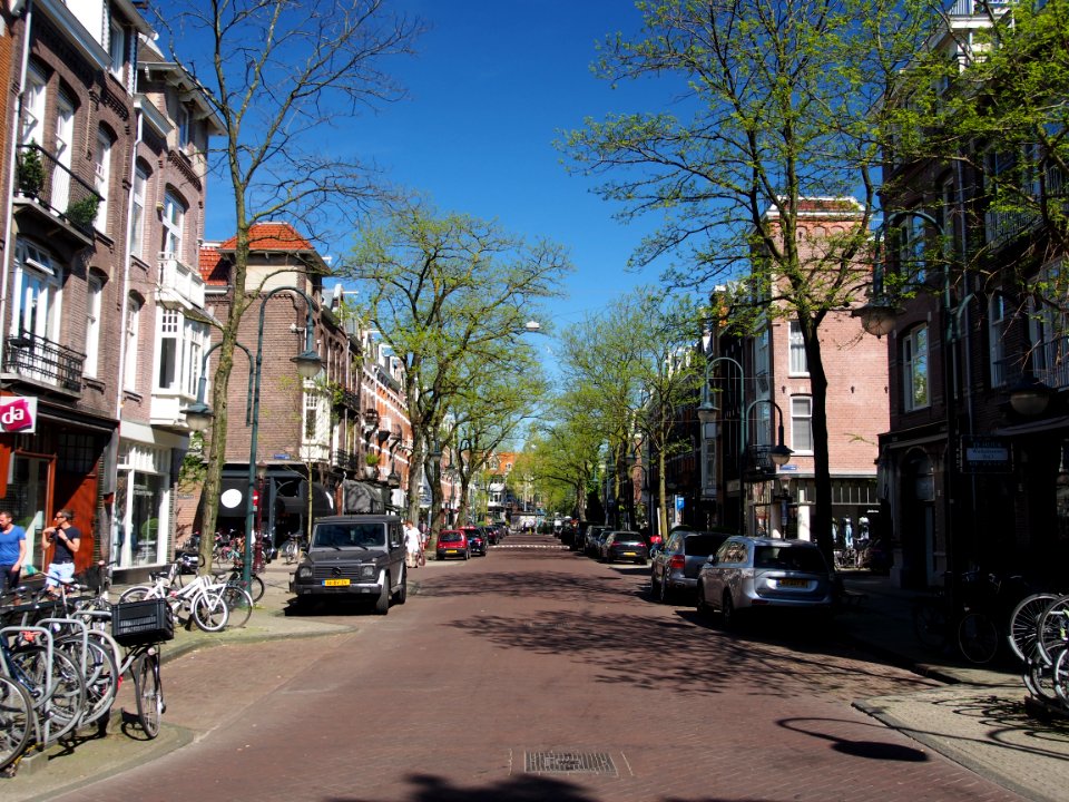 Cornelis Schuytstraat richting Willems Parkweg pic1