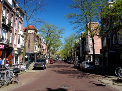 Cornelis Schuytstraat richting Willems Parkweg pic1