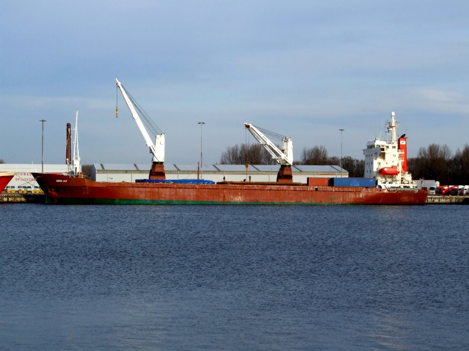 Corn Lily IMO 8714669 at IJmuiden 01feb08 p2