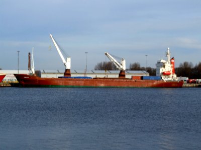 Corn Lily IMO 8714669 at IJmuiden 01feb08 p2