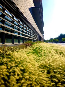 Cornellá de Llobregat - WTC Almeda Park 09