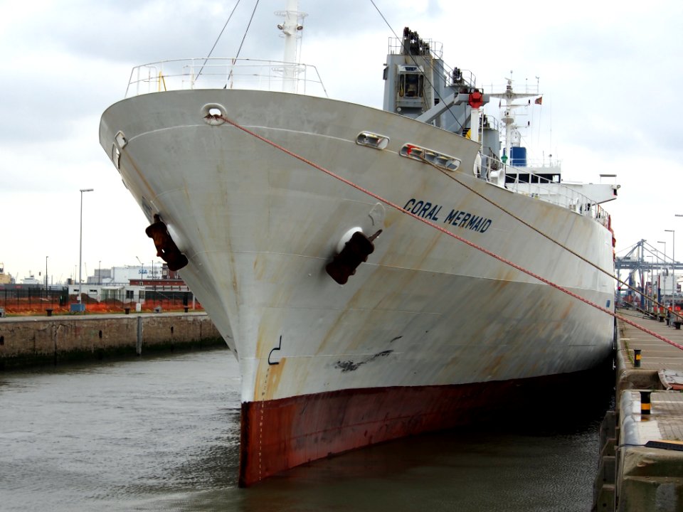 CORAL MERMAID - IMO 9045948 - Callsign A8JI7, Boudewijnsluis, Port of Antwerp
