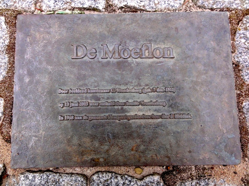 Cor Vrendenberg (bij moeflon)
