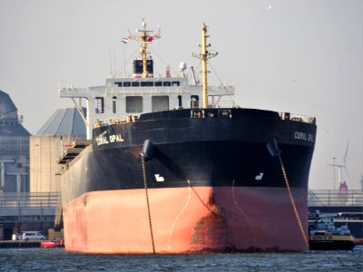 Coral Opal (ship, 2012) IMO 9591973, Port of Amsterdam