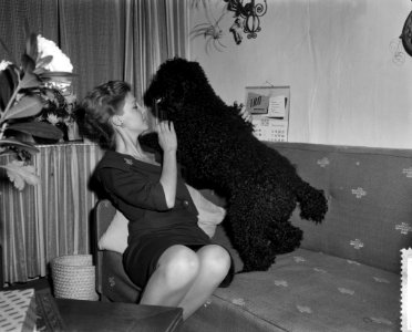 Corine Rottschafer thuis, Corine met hond Davy, Bestanddeelnr 910-8195