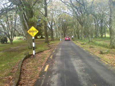 Cornwall Park Road Link Looking South