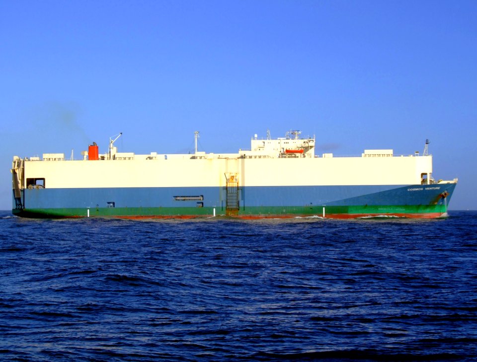 Cosmos Venture photo-2