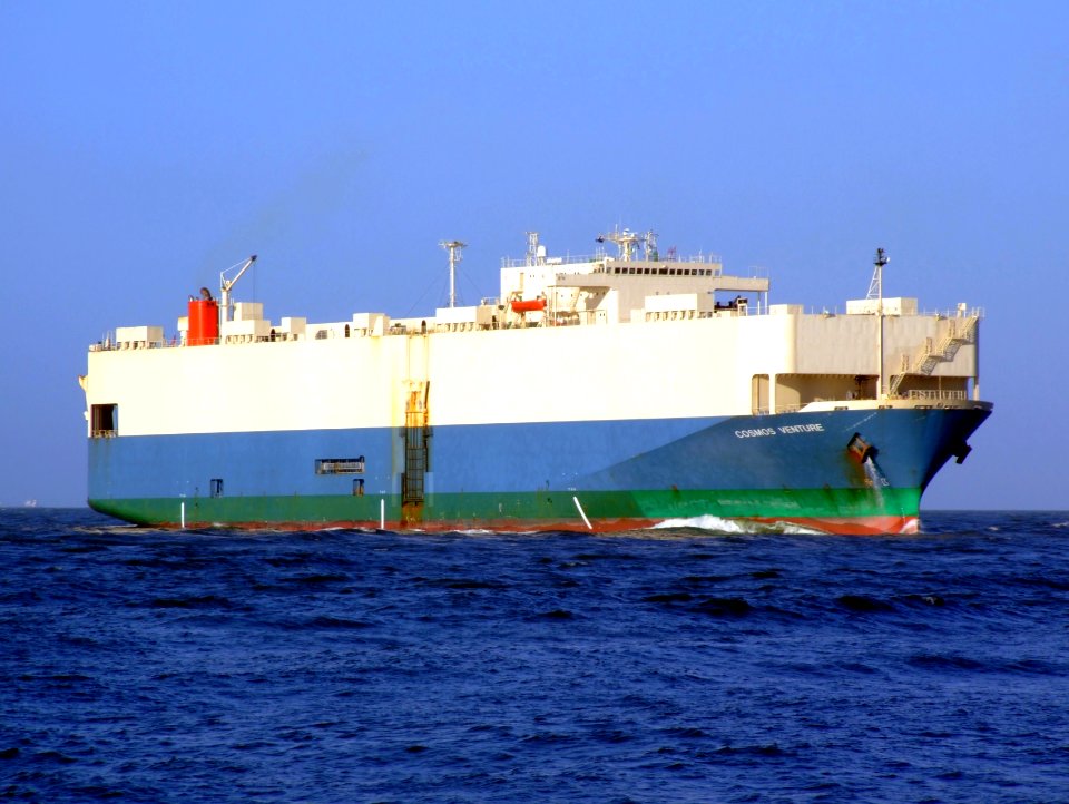 Cosmos Venture photo-1