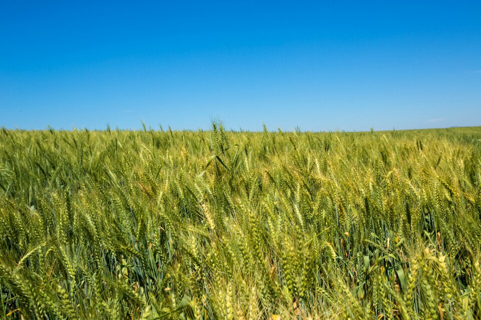 Green view landscape