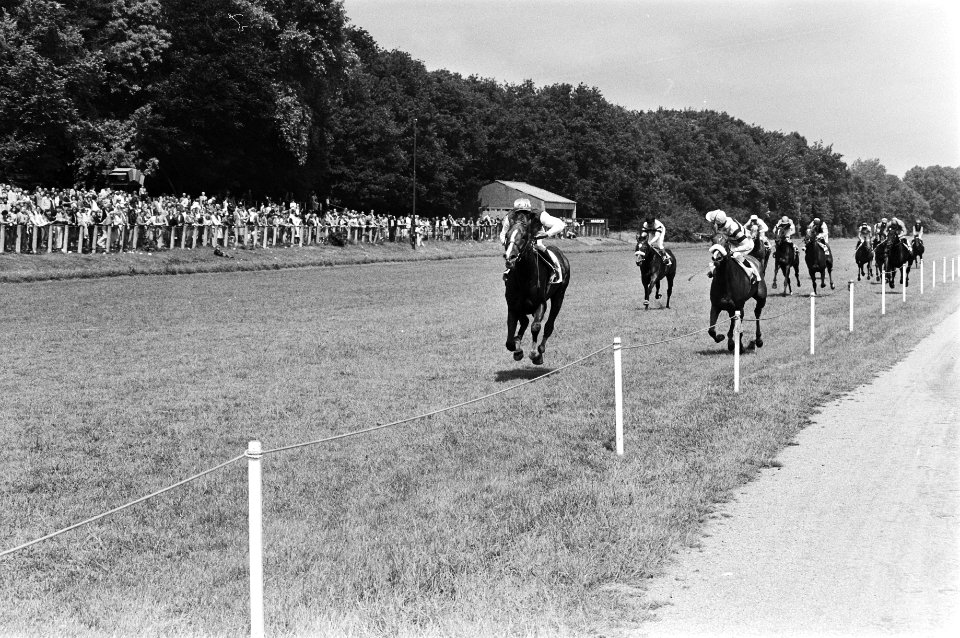 Corrals Bond met Davies (l) finisht met ruime voorsprong op nr. 11 Boxberger B, Bestanddeelnr 930-3463