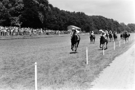 Corrals Bond met Davies (l) finisht met ruime voorsprong op nr. 11 Boxberger B, Bestanddeelnr 930-3463